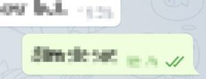 Telegram Lesebestätigung umgehen